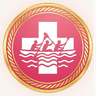 11. hét