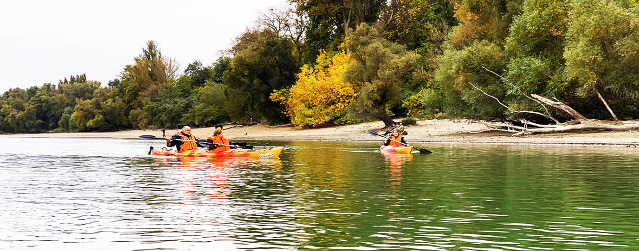 őszilombos gyakorló vízitúra Göd