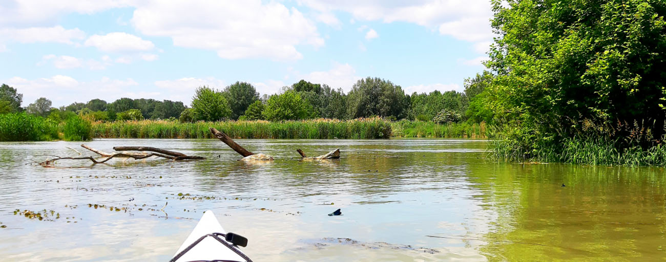 szigetköz kajak kenu vízitúra