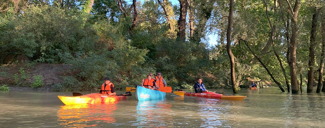 ártéri galériaerdős kajak kenu kaland