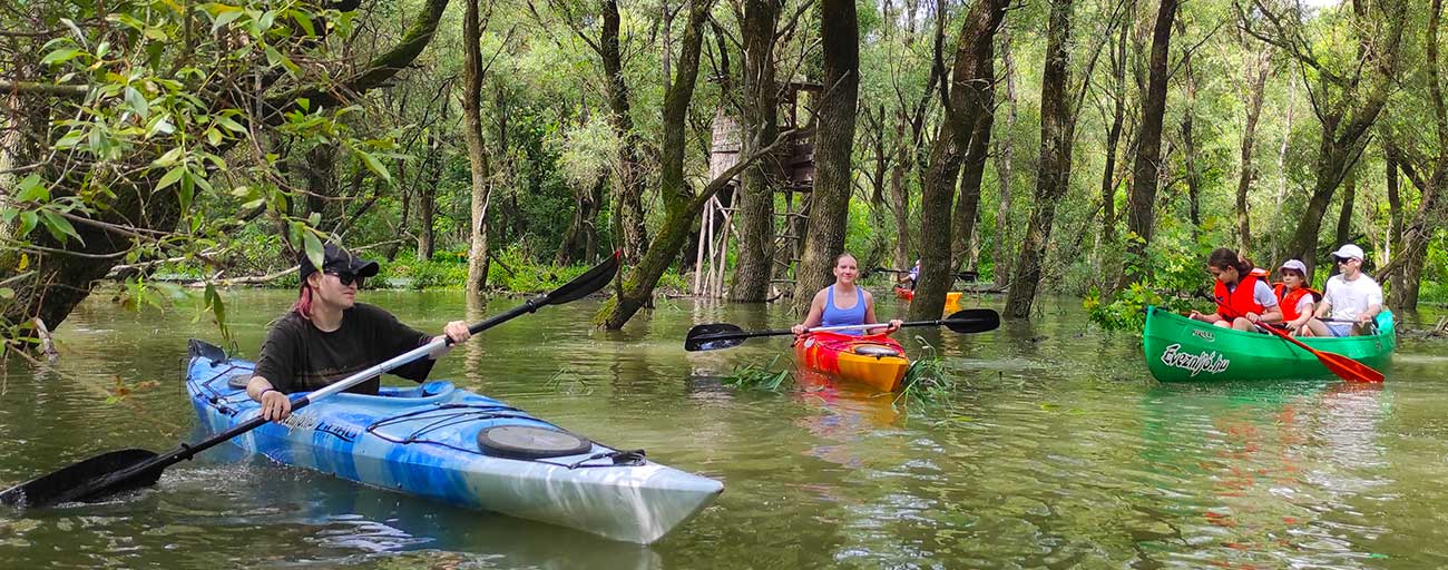 ártéri galériaerdős kajaktúra és kenutúra